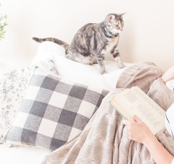 Did you know your pads and tampons are subject to animal testing? No worries! Check out this list for cruelty free pads and tampons, along with more products to helps make your period and lady care cruelty free. From washes to pads to reusable panties, you're covered!